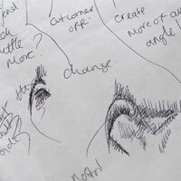 Wary Watchers- In Progress 12