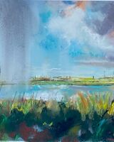 Approaching Storm Clouds Over The Marshes