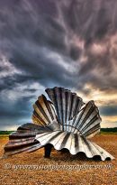 Aldeburgh Scallop