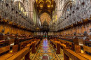 The Choir