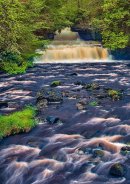 Cotter Force