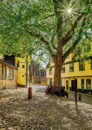 Elm Hill