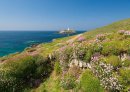 Godrevy Lighthouse