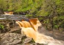 Kisdon Force