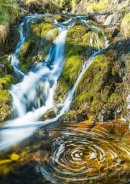 Water in Motion