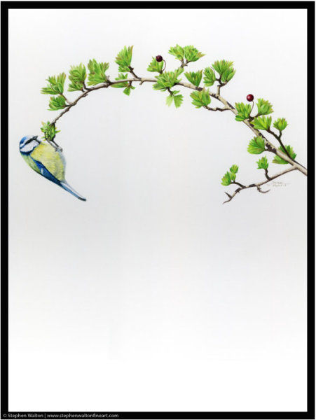 Balancing Blue II