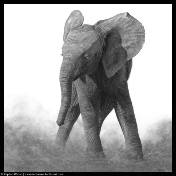 Dust Dancing