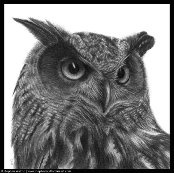 Eagle Owl