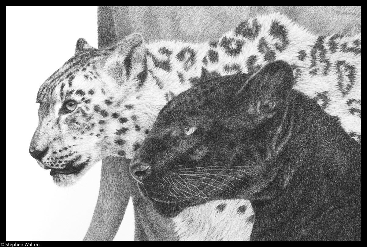 Progression (detail)