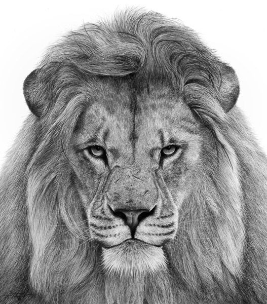 King