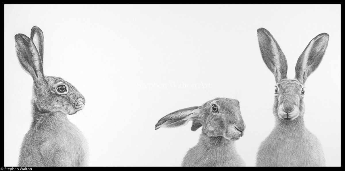 Three Hares