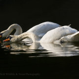 Synchronize