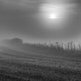 Mist 2.