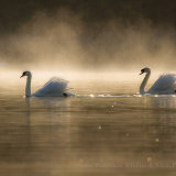 The Peace and Quiet of Early Morning.