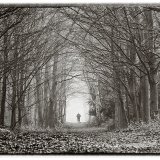 The Woodsman
