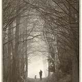 Simba & the Woodsman