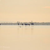 Just after Sunrise