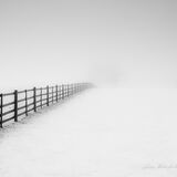 Fog 1.