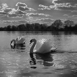 Tranquil, BUT!