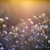 As the Sun Goes Down 2.