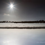 Frampton Marsh (upside down)