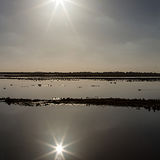 Frampton Marsh (the right way up).