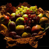 Autumn Harvest