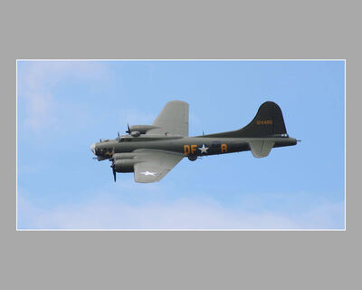 Warbird in the Skies (S Mackie)