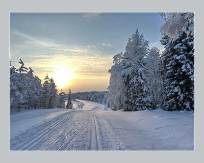 X Country Ski Trail at dusk in Finland (M Birch)