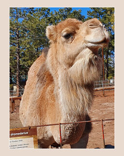 Get My Good Side (M Barker)