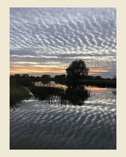 Mackerel Sky in Fen Drayton Lakes RSPB (N Karelina)