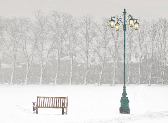 Snow in the Park