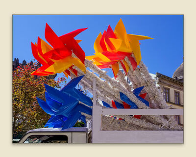 Sue Fifer