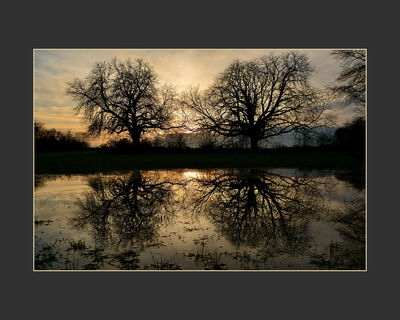 Chestnut Reflections at Sunset (G Richardson)
