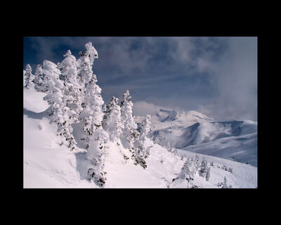 2020/21 Joe Sipos Print Competition Top Scores