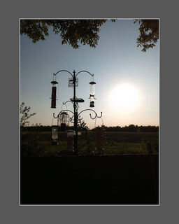 Sunset Feast (E Harper-Clarke)
