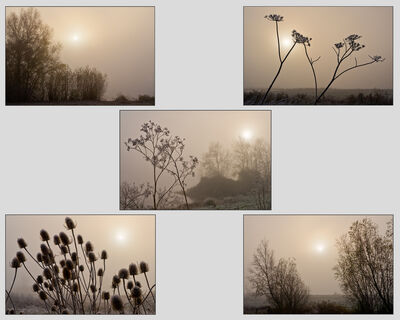 2019/20 Print Panel Competition Top Scores