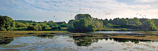Lackford Lakes