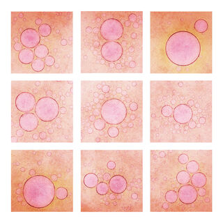 pennyreeves sunspots
