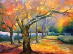 Avenue of Autumn Colour