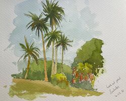 In Bermuda