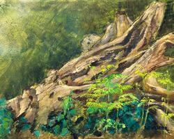 Fallen Log