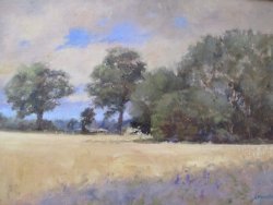 Ready for The Harvest. SOLD
