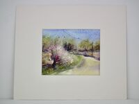 Elderflower coming into bloom with mount plus white frame