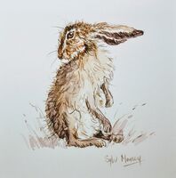 Hare in watercolour