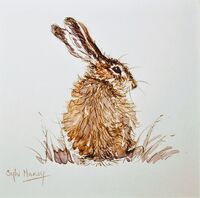 Hare in watercolour