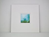 Hazy summer meadow (with mount)