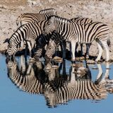 Ultimate Jigsaw