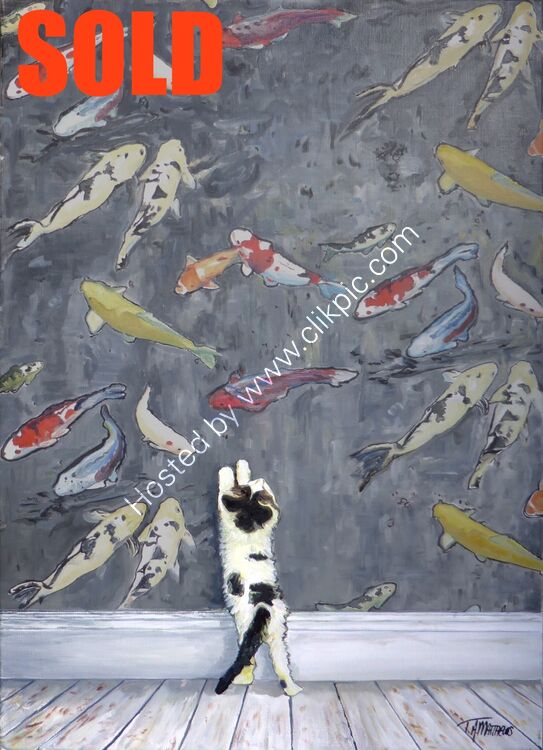 Curious cat