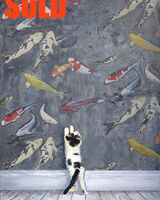 Curious cat